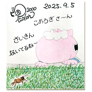 2025年9月5日
