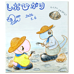 2026年5月6日