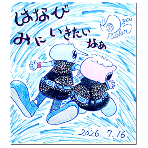 2026年7月16日